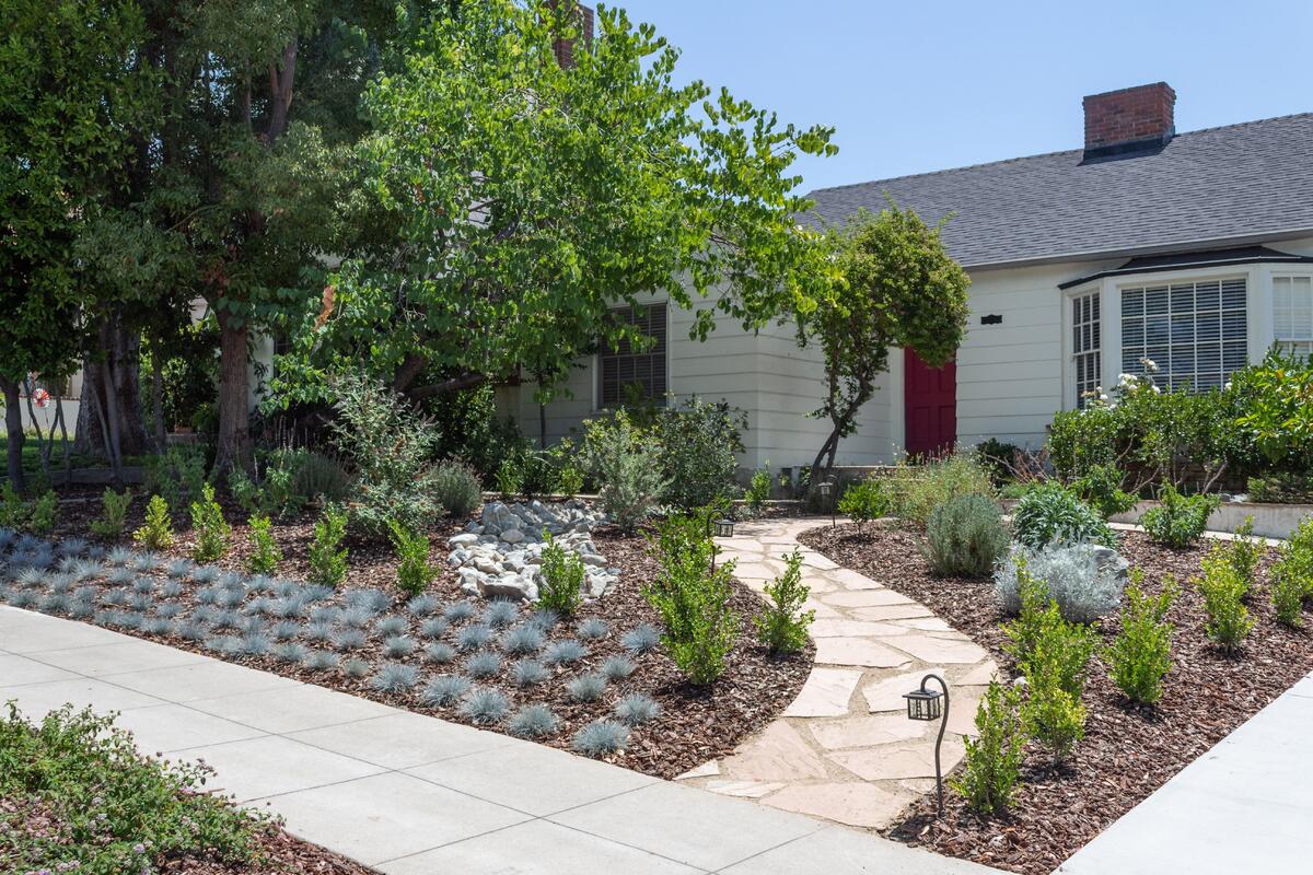 drought landscaping ideas