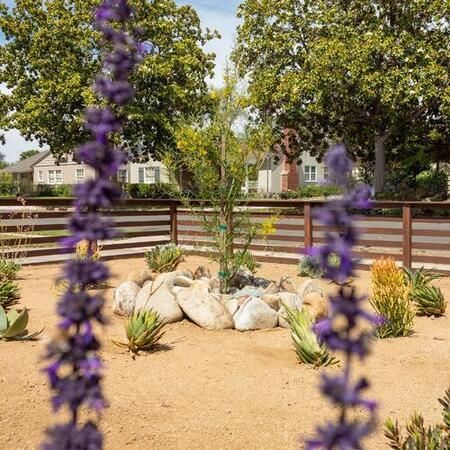 Decomposed Granite Front Yard