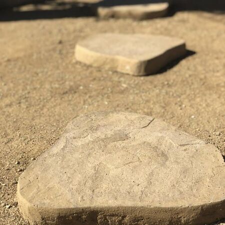 DG and Flagstone pathway