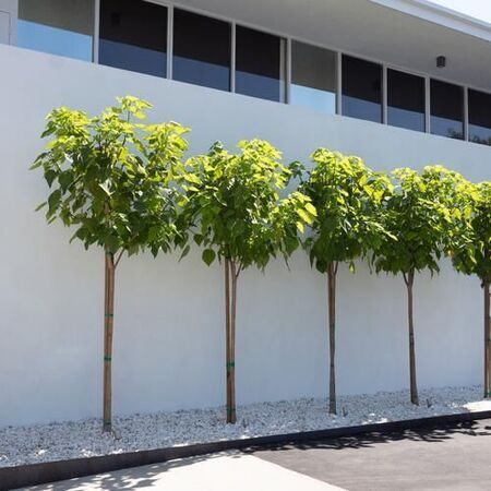 Nana Trees & Custom Gravel
