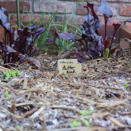 Planter for gardening