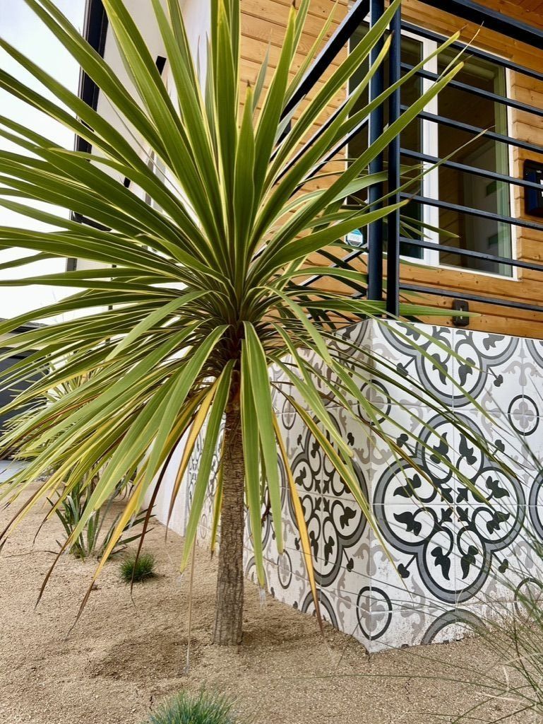 Native Landscaping