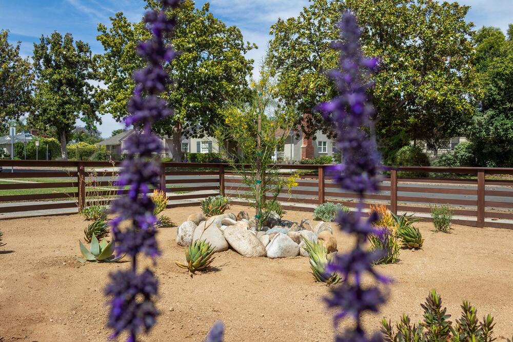 decomposed-granite-front-yard