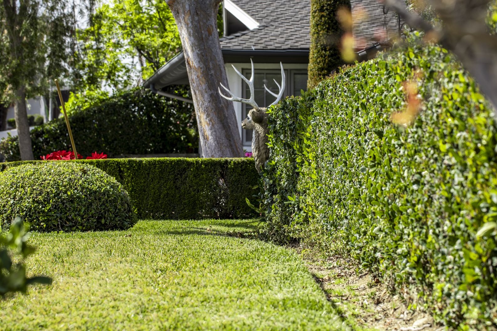 Fazillah-Flores-1-1C5A1916-HDR-proof