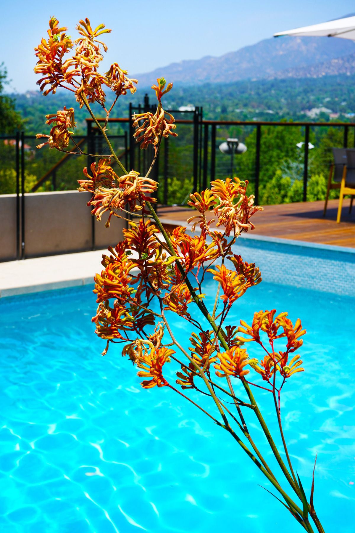 Flores Artscape