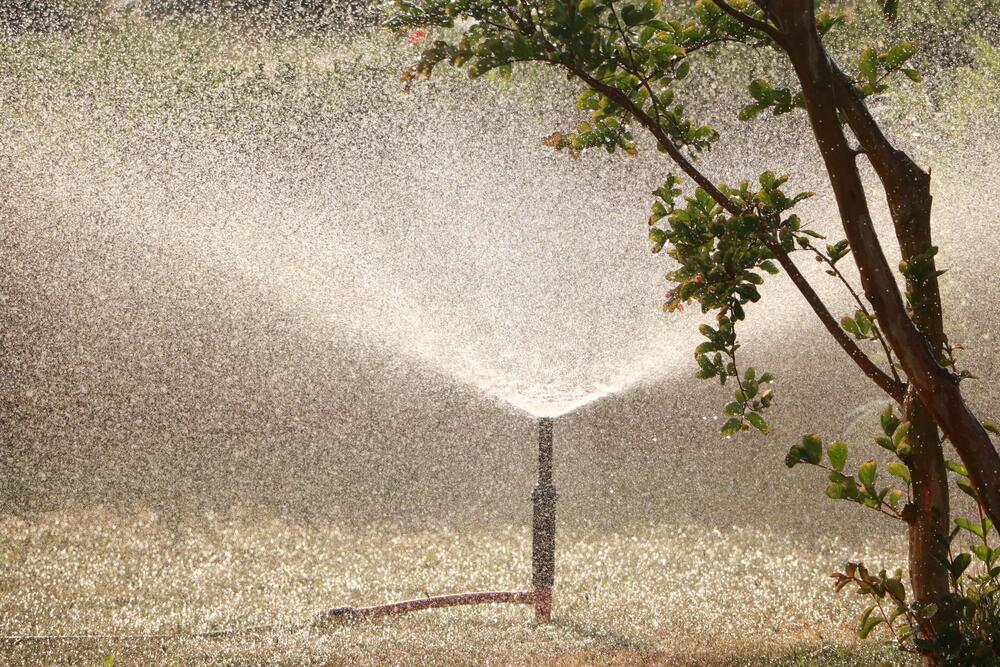 Sprinkler spray