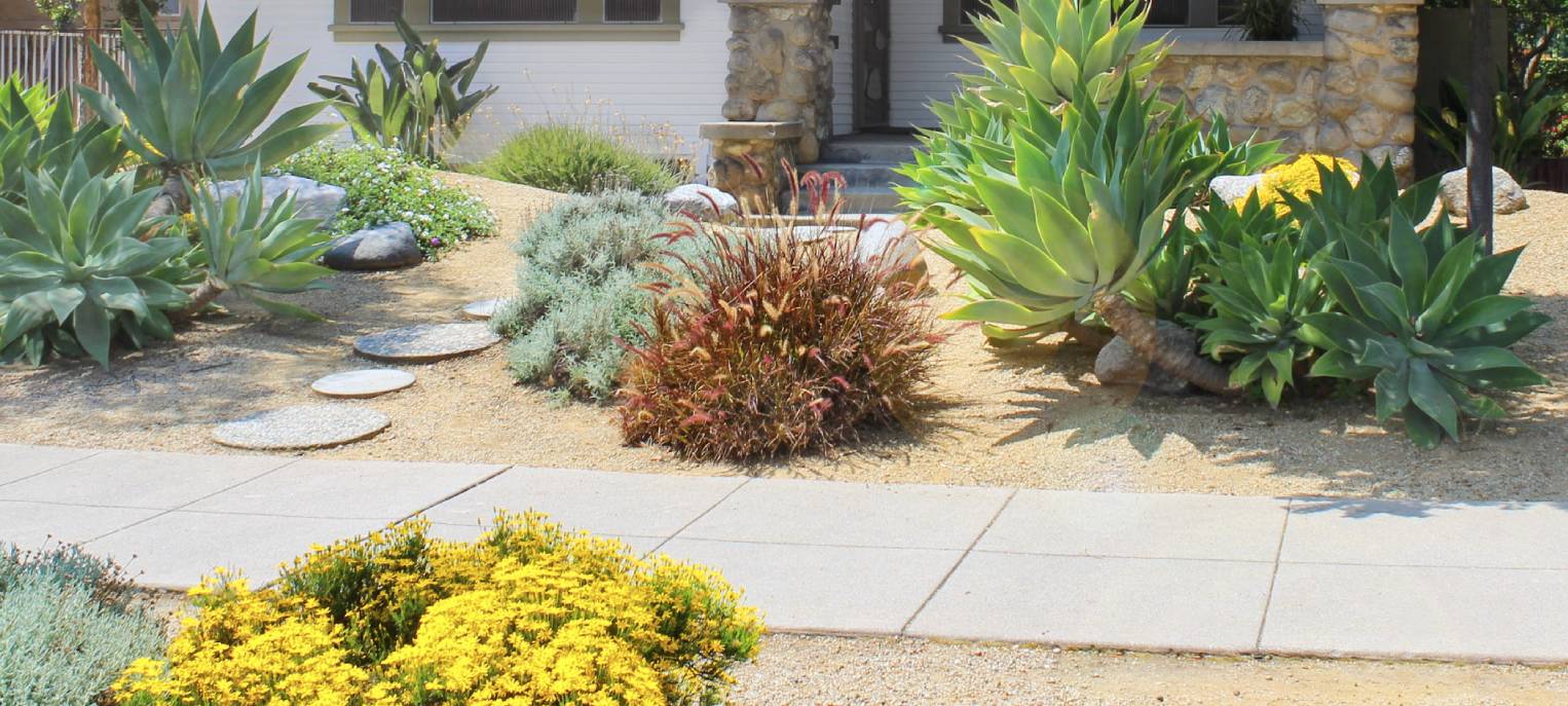 Pavers and plants